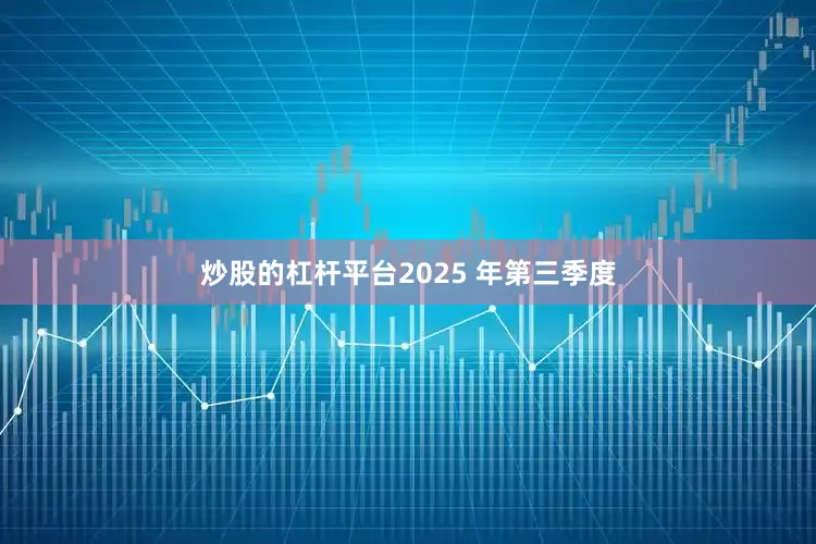 炒股的杠杆平台2025 年第三季度